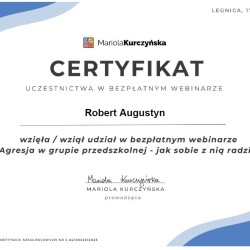 Powiększ