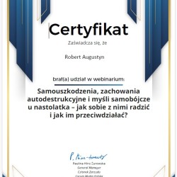 Powiększ