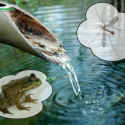 Powiększ